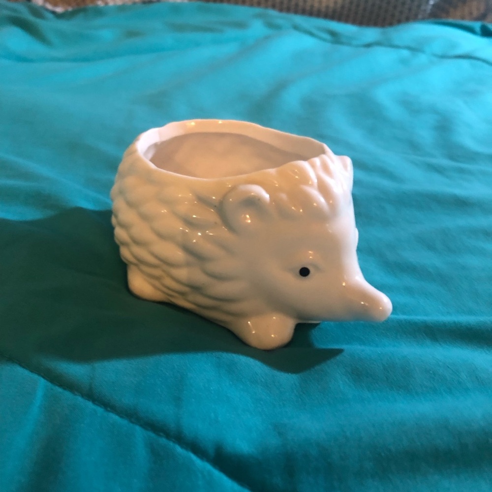 Little Hedgehog jewelry holder